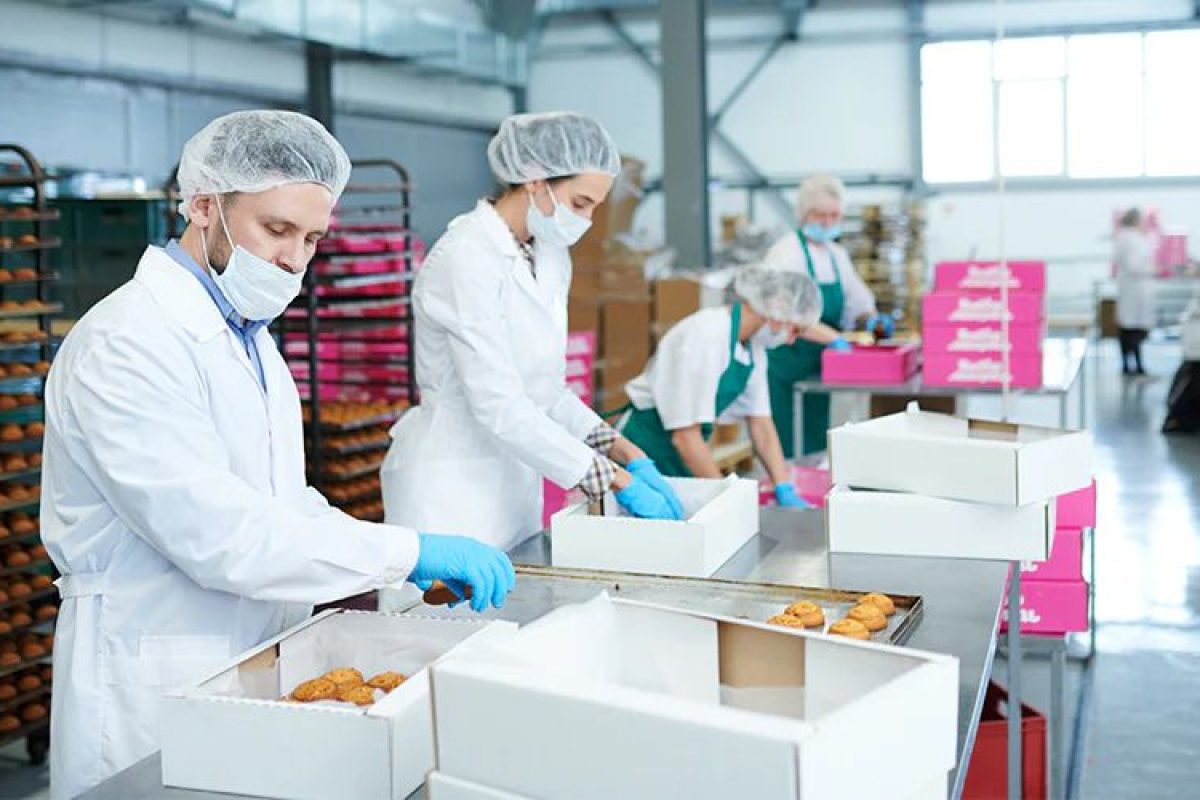 WhatsApp Image 2026-04-06 at 11.09.13